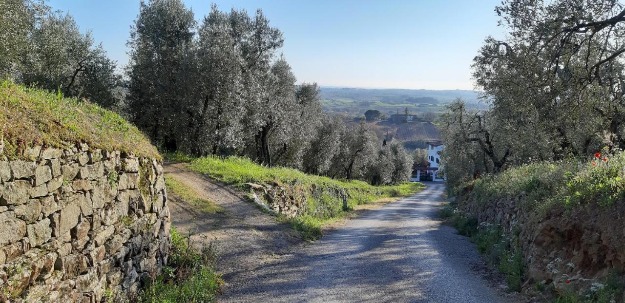 Villa Il Fienile Di Tigliano Vinci Exterior foto