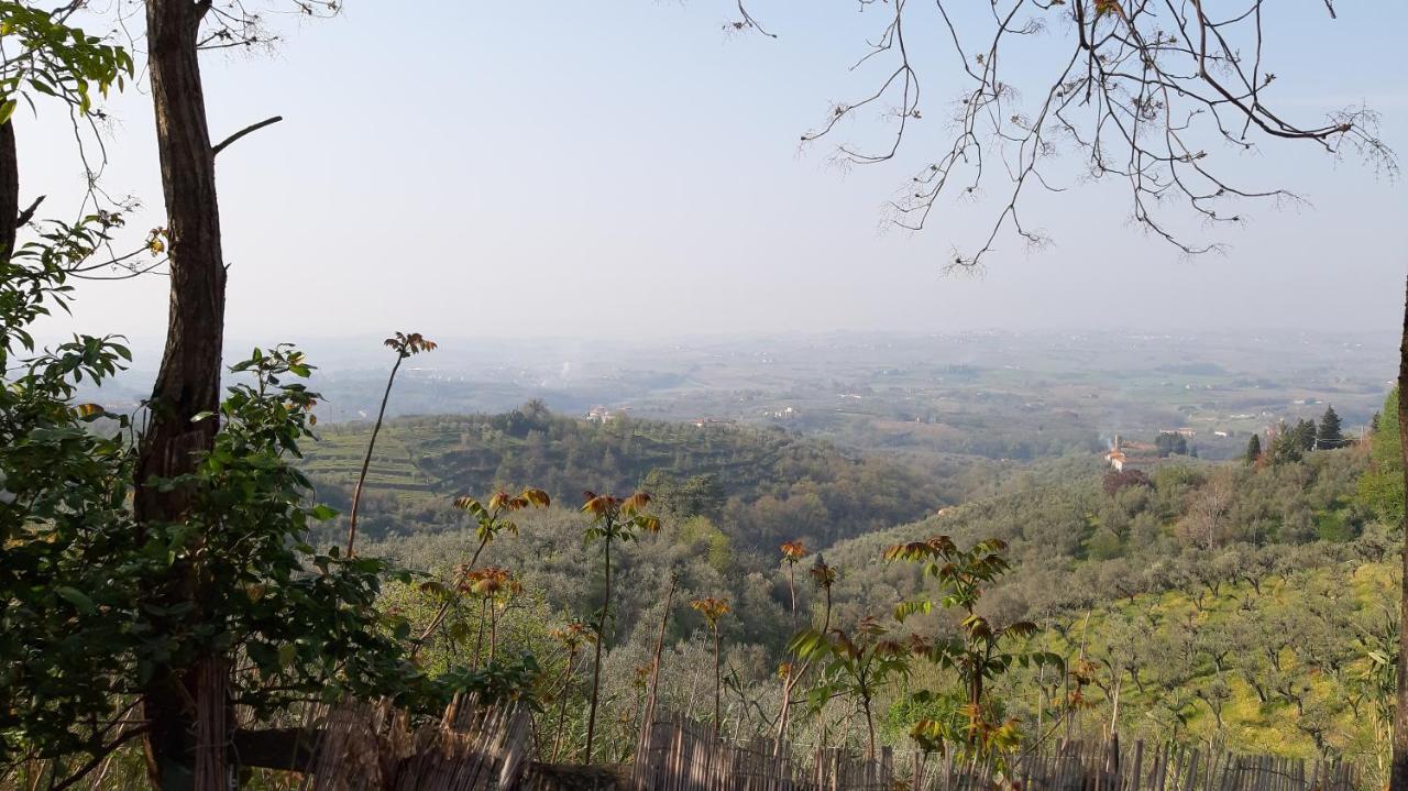 Villa Il Fienile Di Tigliano Vinci Exterior foto